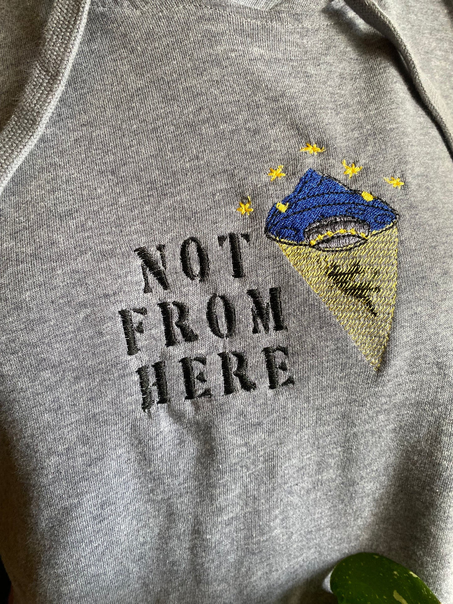 Not From Here Synch Hoodie (small)