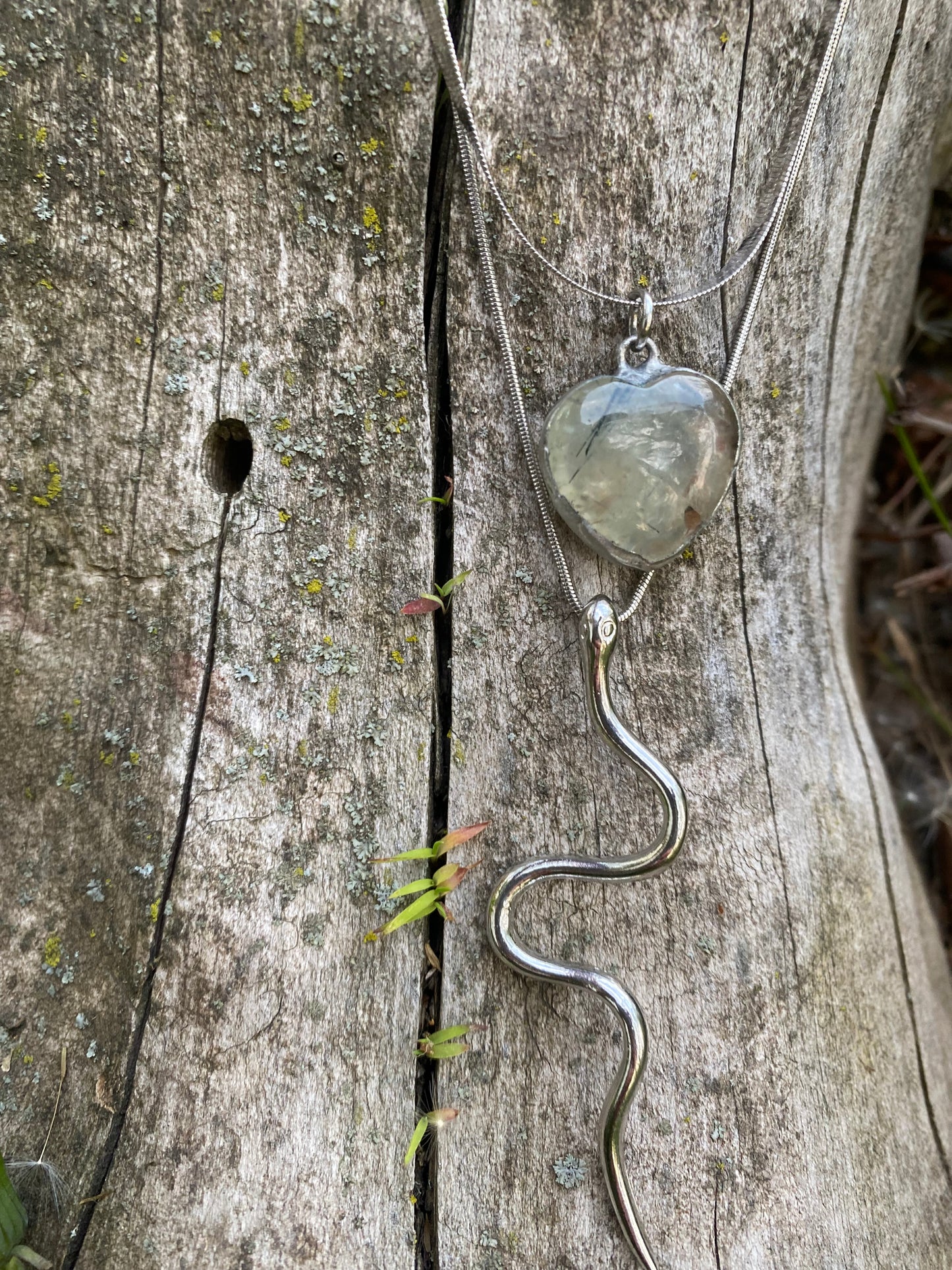 Serpent Secret